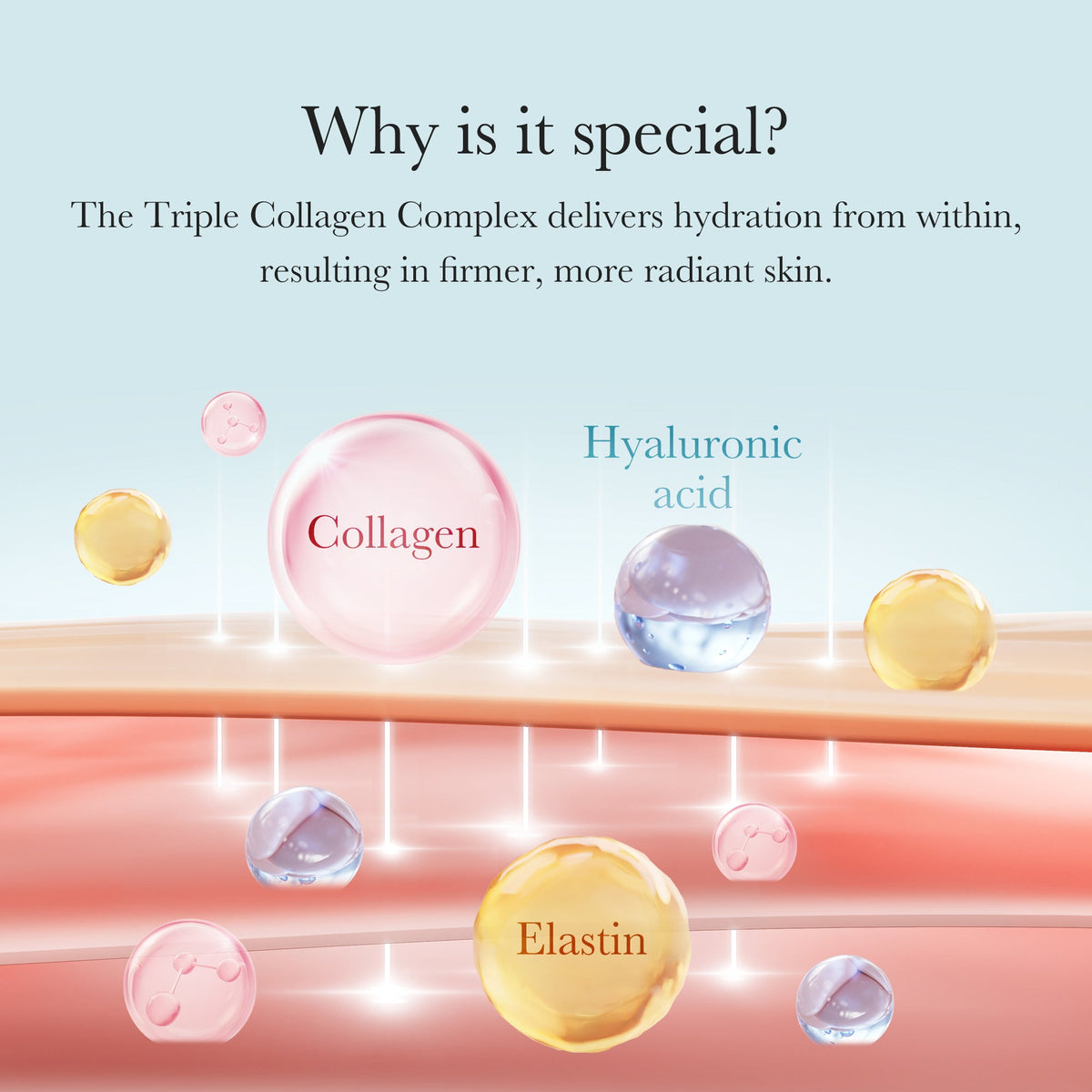 triple-collagen-cream-k6 04_8e4e330d-7d9c-4ff0-93ec-ea541093220c.jpg